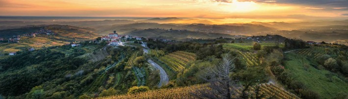 WINE DISCOVERY TOUR IN SLOVENIA SPONSORED BY THE F.I.C.B. : 18-22 July 2023