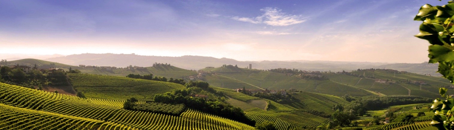 Wine-Discovery Tour Sponsored by F.I.C.B. in ITALY (Piedmont) May 22-26,2024